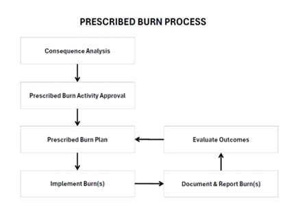 diagram of burn planning process